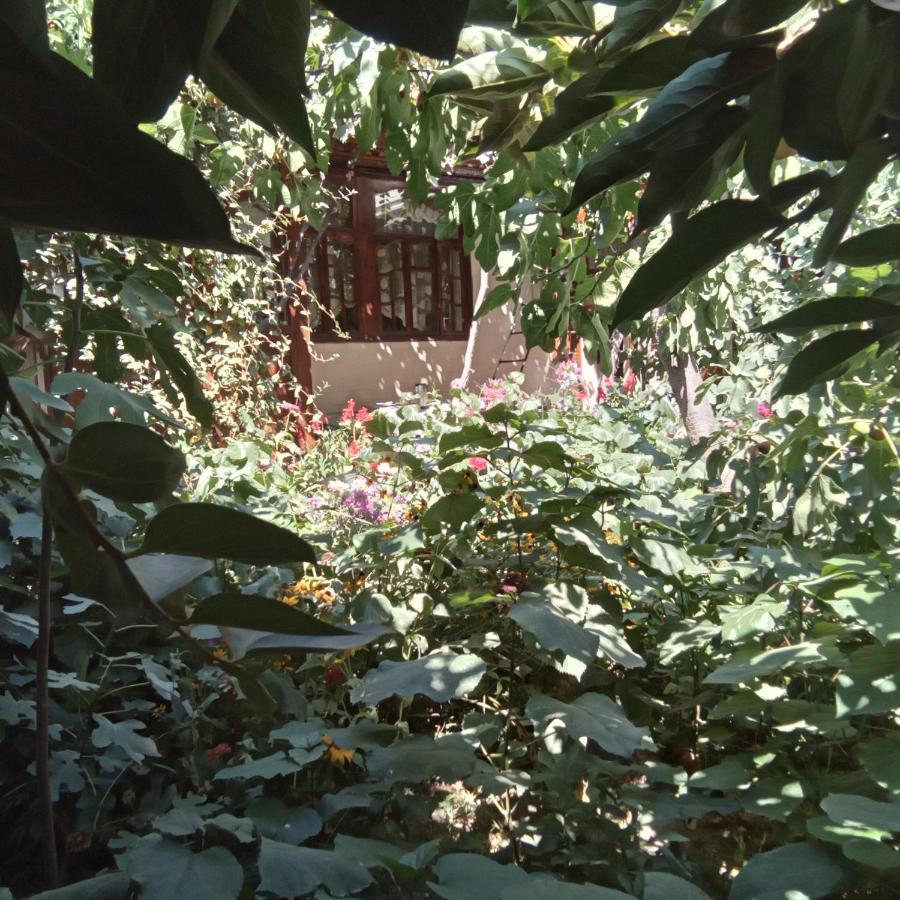 Lovely Home For You Osh Luaran gambar
