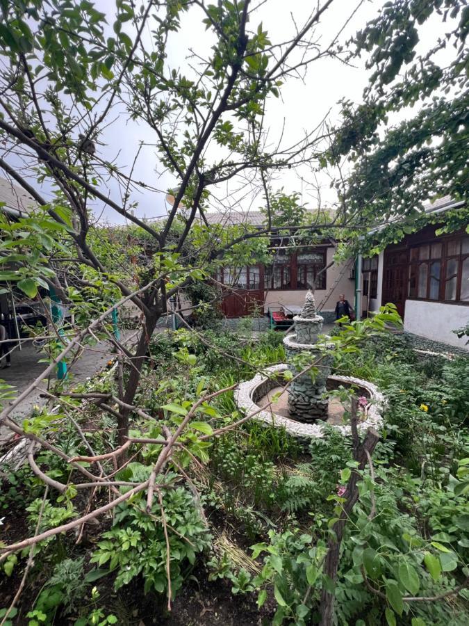Lovely Home For You Osh Luaran gambar