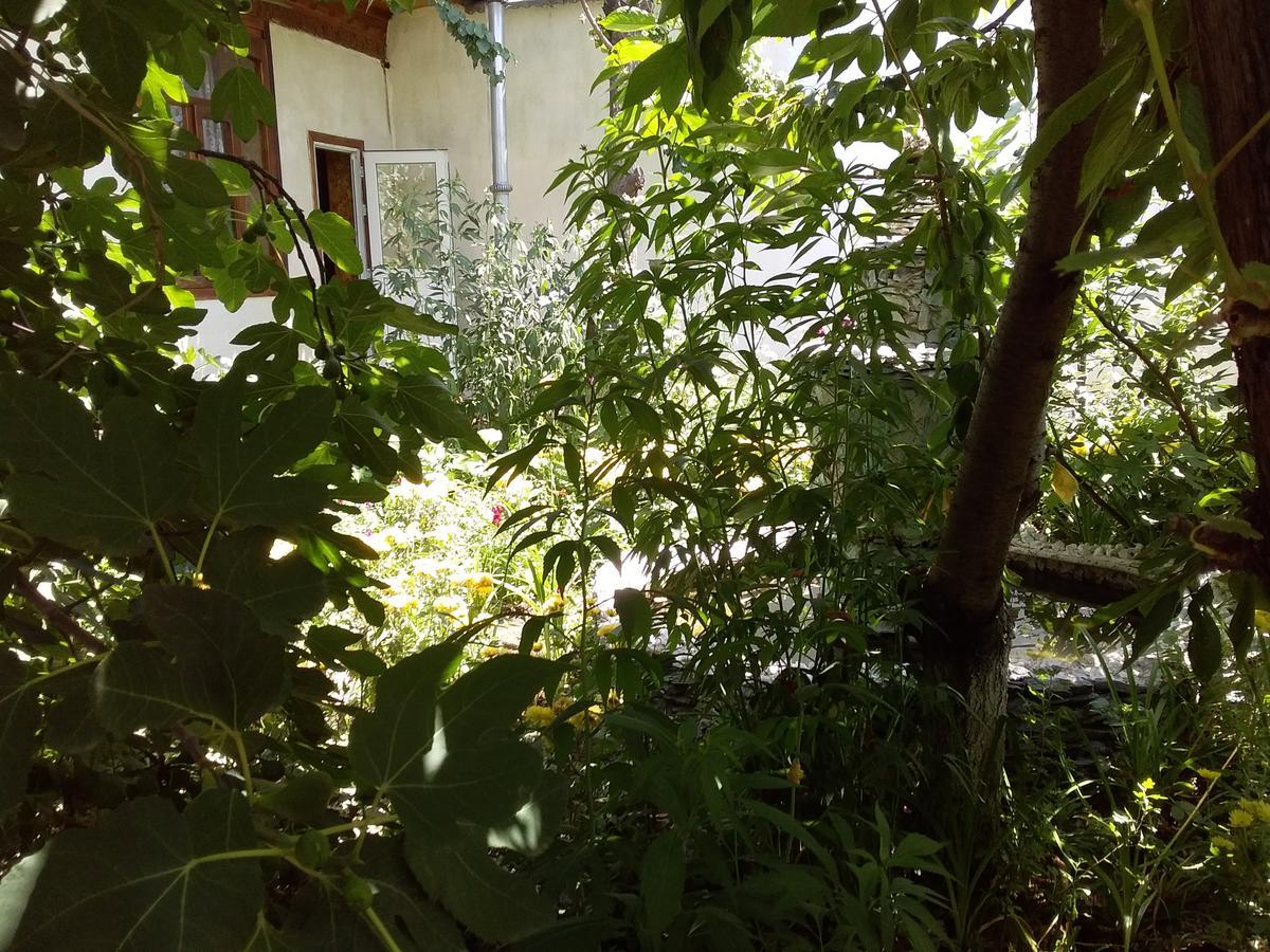 Lovely Home For You Osh Luaran gambar
